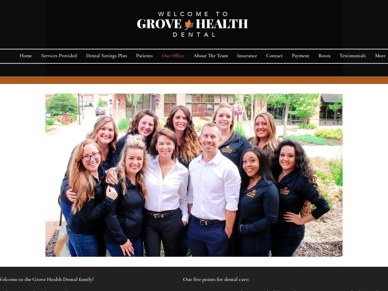 Grove Health Dental Website Screenshot from grovehealthdental.com