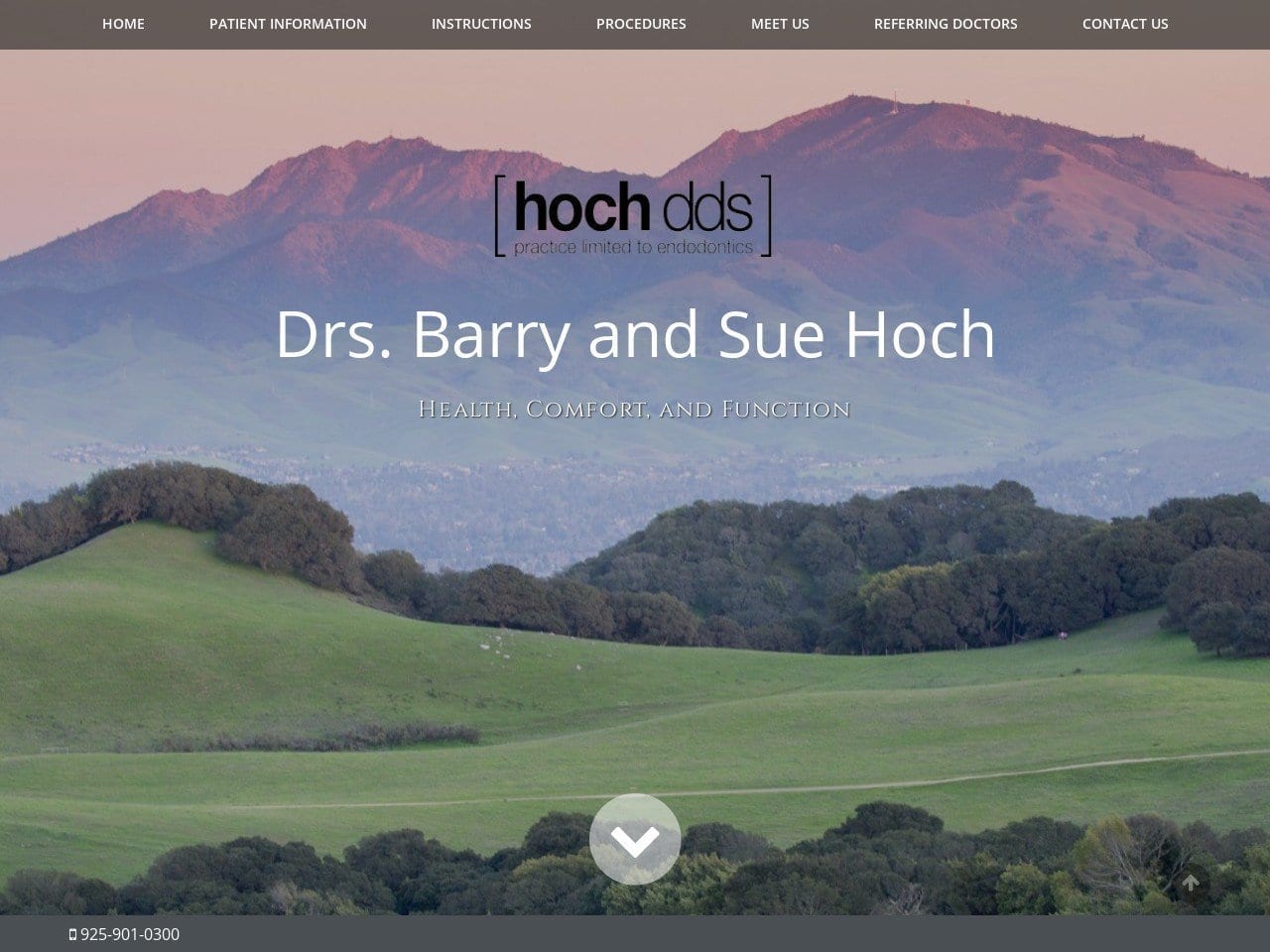 Hoch & Hoch Hoch Barry S DDS Website Screenshot from hochendodontics.com