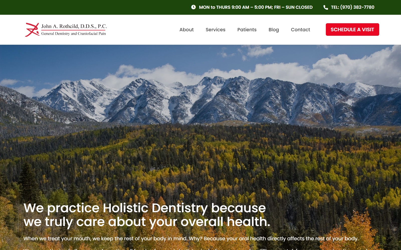 holisticdentistrydurango.com screenshot