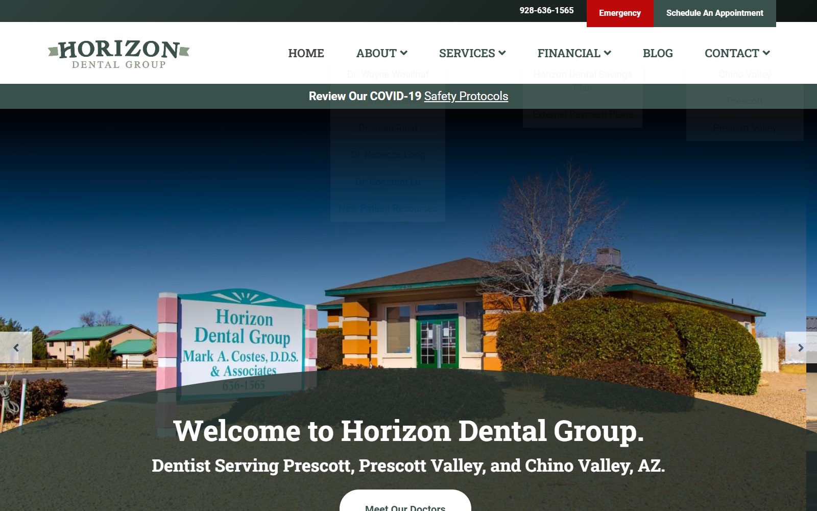 horizondds.com screenshot