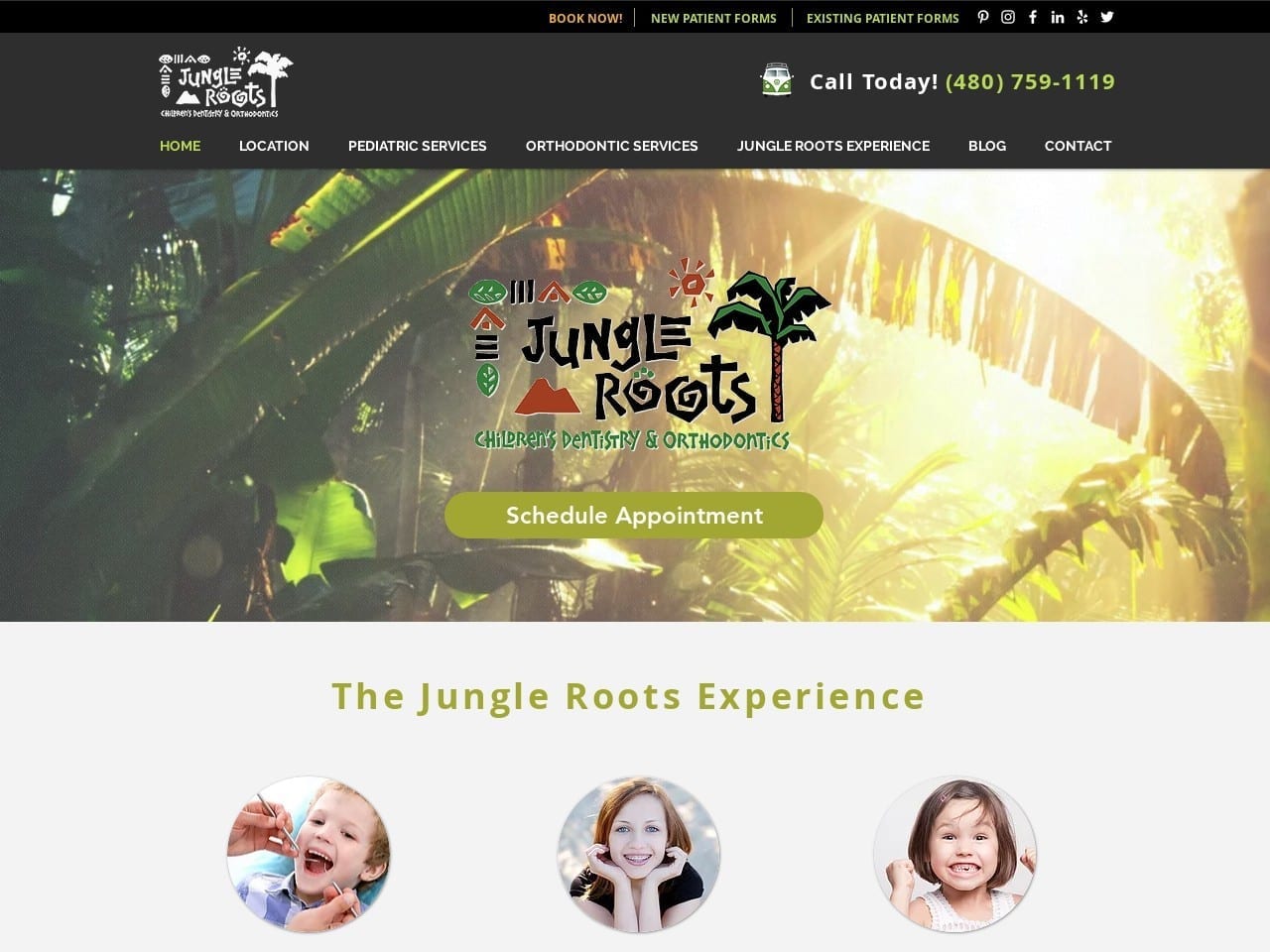 Jungle Roots Children Dentist Culp III John E DMD Website Screenshot from jungleroots.com