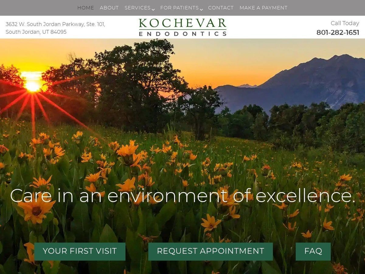 Dr. Jeffrey B. Kochevar Website Screenshot from kochevarendo.com