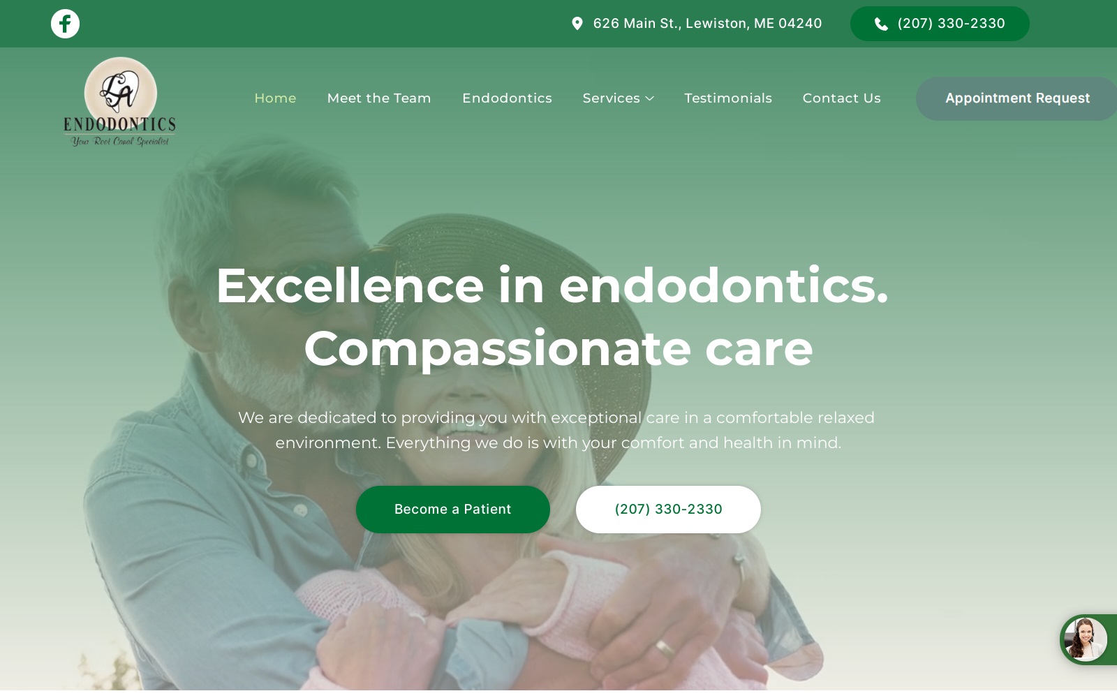 laendodontics.net screenshot