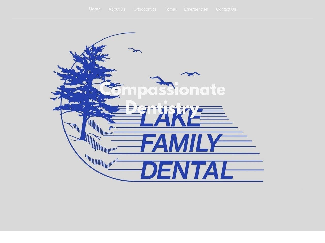 Lake Family Dental Website Screenshot from lakefamilydentalmn.com