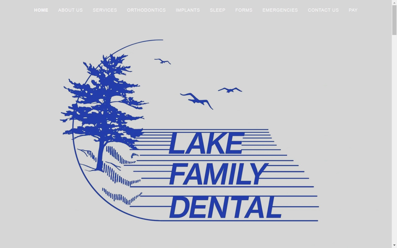 lakefamilydentalmn.com screenshot