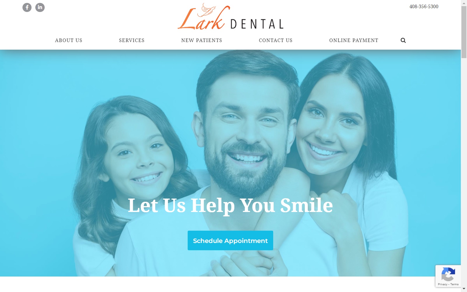 larkdental.com screenshot