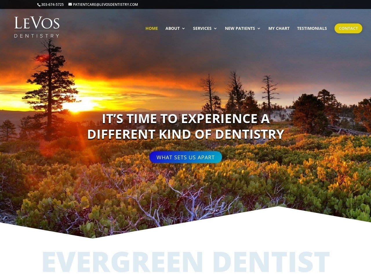 Levos Dentist Website Screenshot from levosdentistry.com