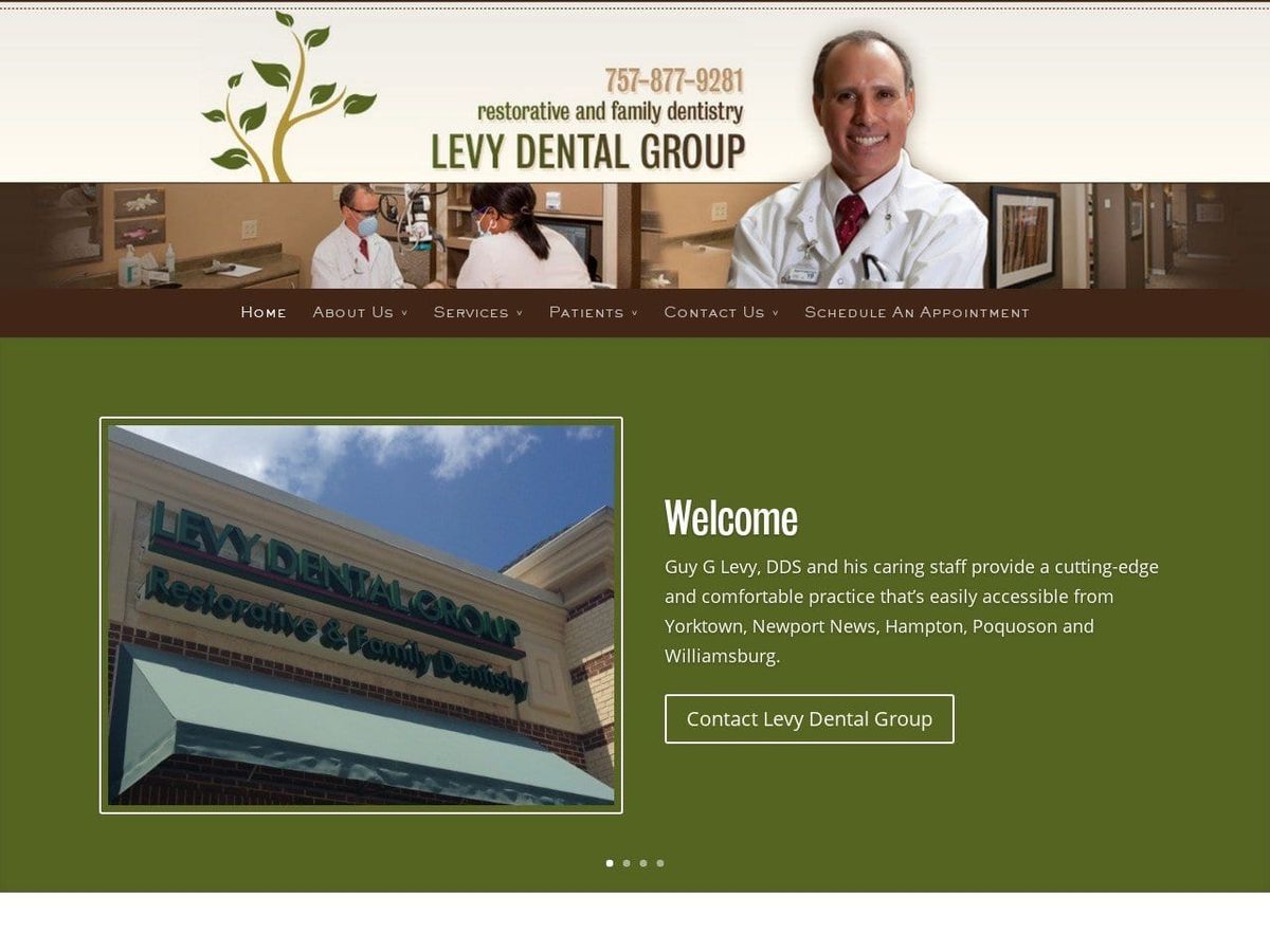 Levy Dr. Mayer Website Screenshot from levyhoffman.com