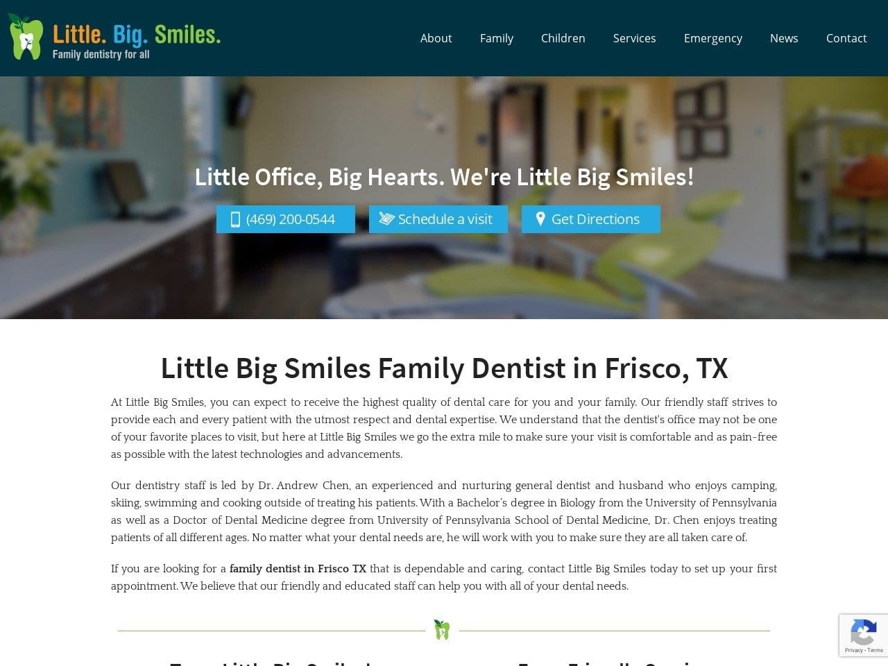 Little Big Smiles Website Screenshot from littlebigsmiles.us