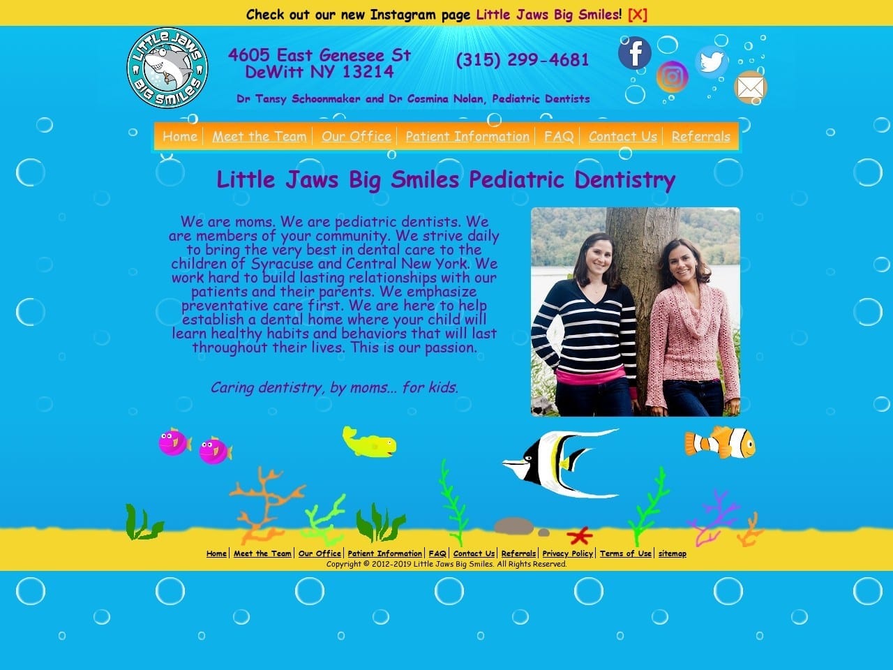 Little Jaws Big Smiles Website Screenshot from littlejawsbigsmiles.com