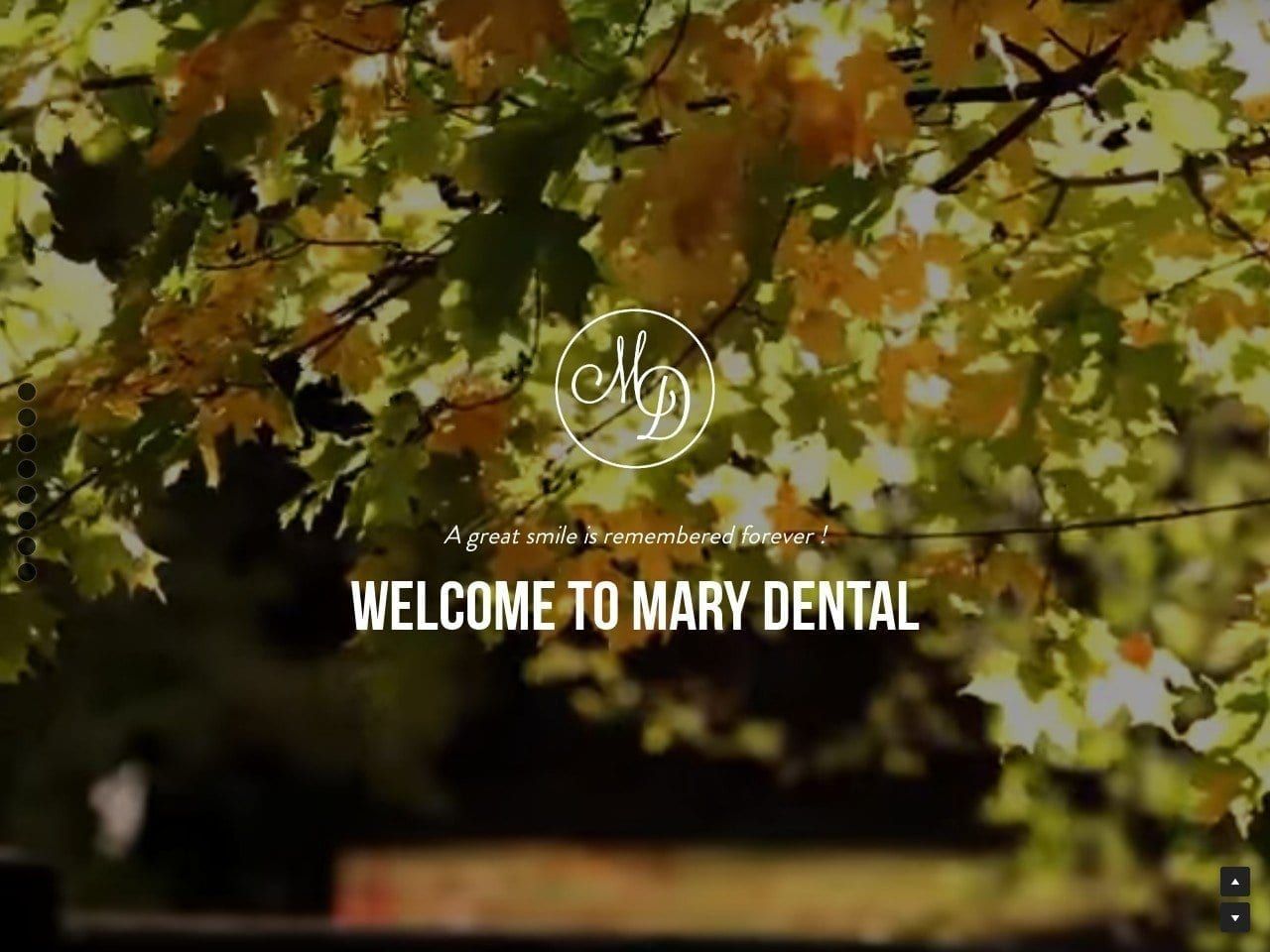 Mary Dental Website Screenshot from marydental.com