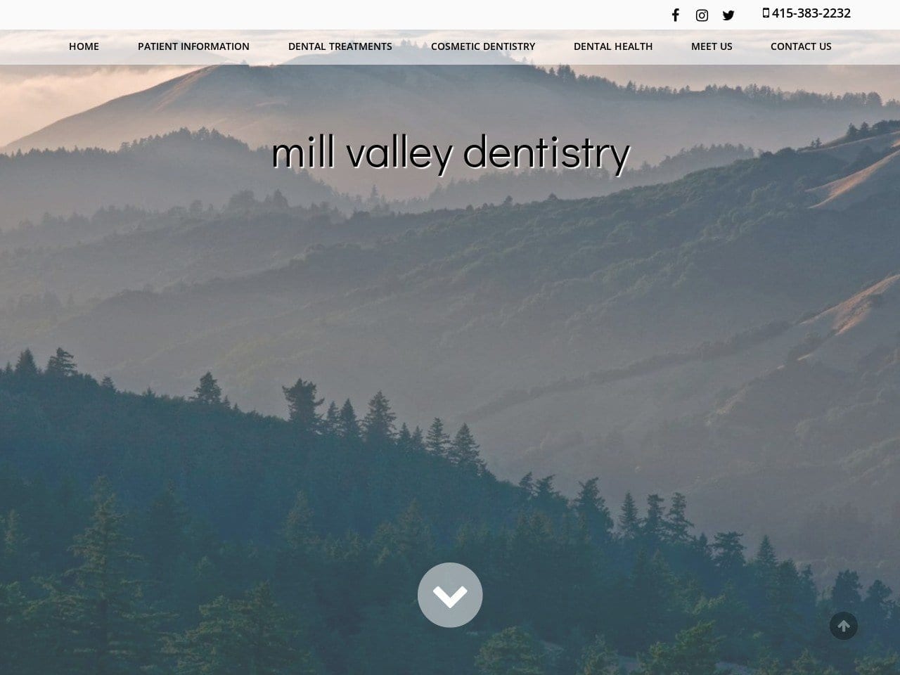 Mill Valley Dentist Website Screenshot from millvalleydentistry.com