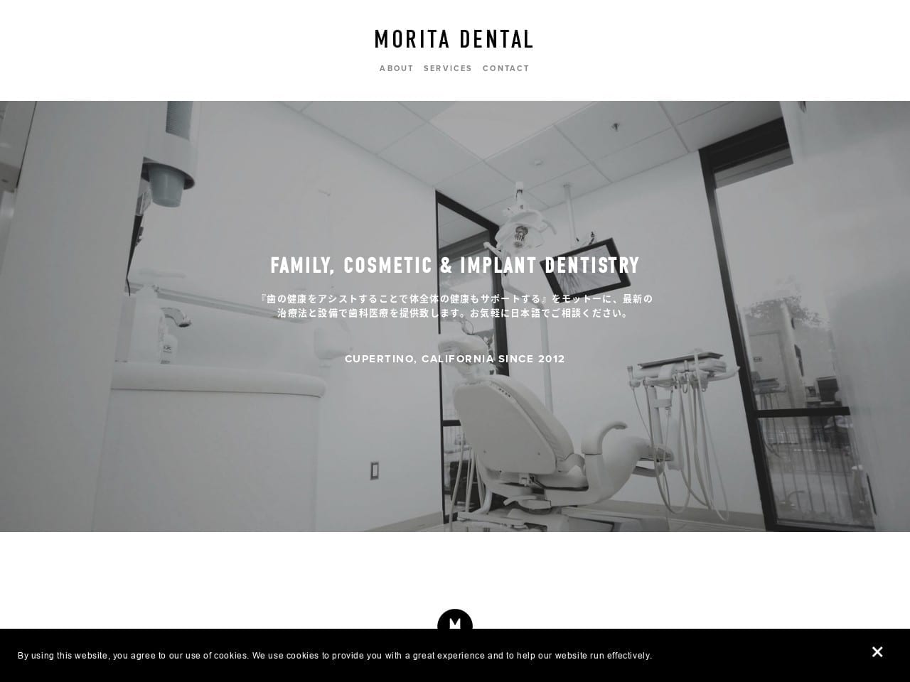 Morita Dental Website Screenshot from moritadental.com