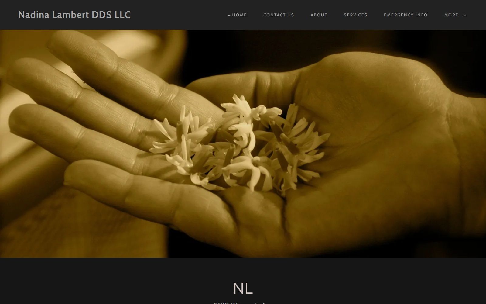 nadinasmiles.com screenshot