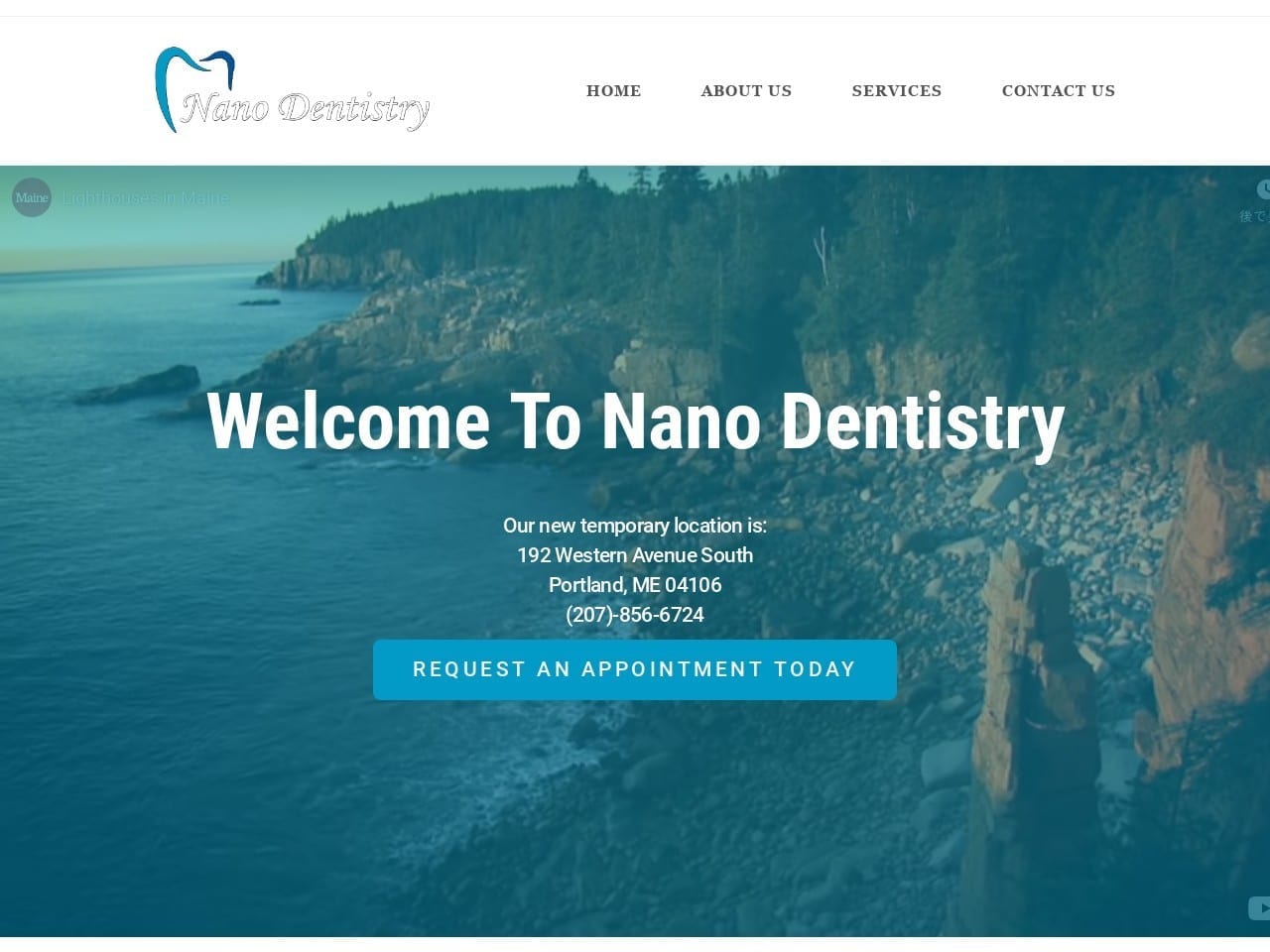 Nano Dentist Website Screenshot from nanoddsme.com