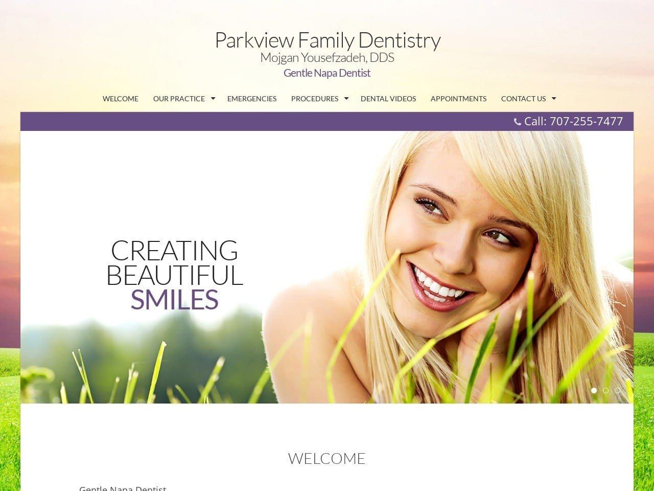 Parkview Family Dentristry Mojgan Yousefzadeh Website Screenshot from napaparkviewdentistry.com