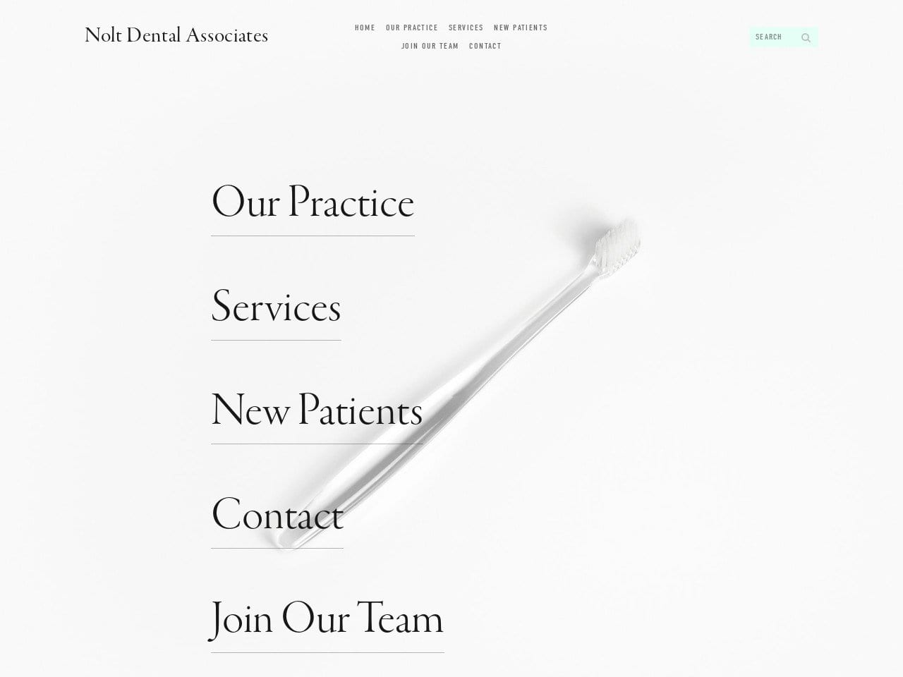 Nolt Dental Associates Website Screenshot from noltdental.com