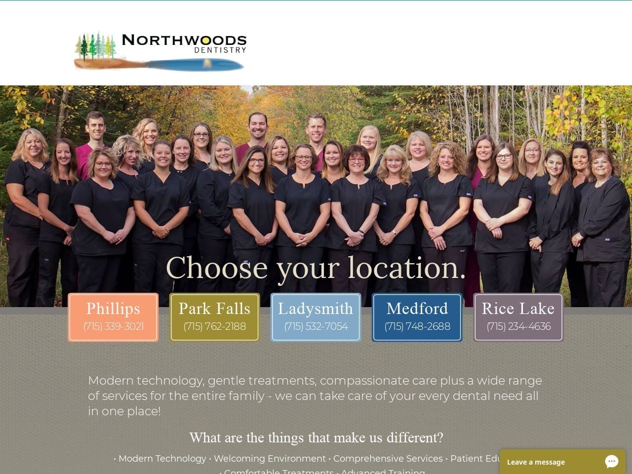 Northwoods Dentist Website Screenshot from northwoodsdentistry.com