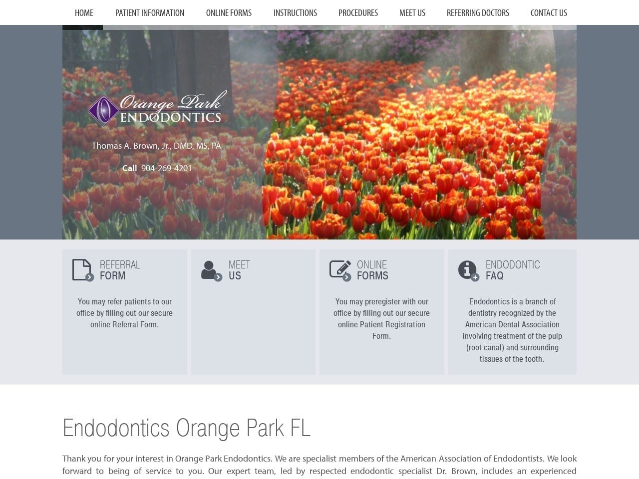 Orange Park Endodontics Website Screenshot from orangeparkendo.com