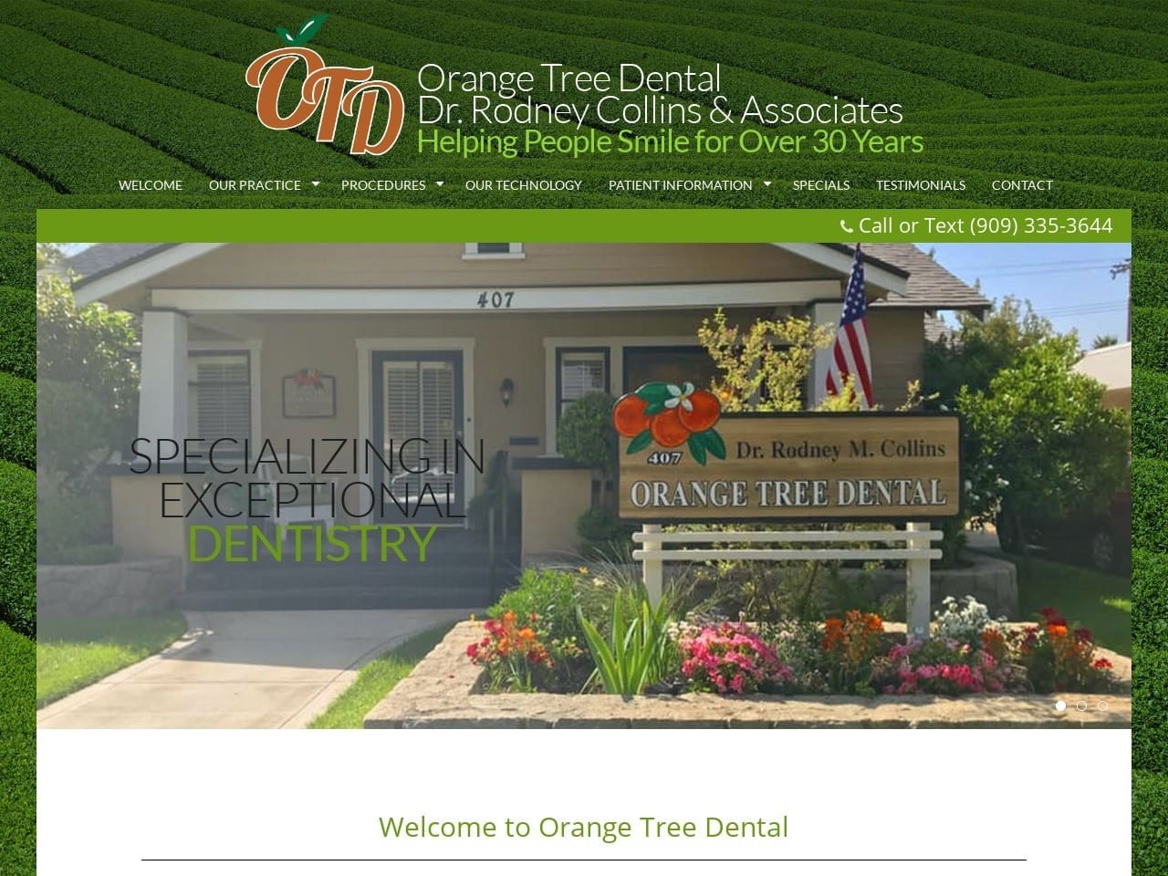 Orange Tree Dental Website Screenshot from orangetreedental.com