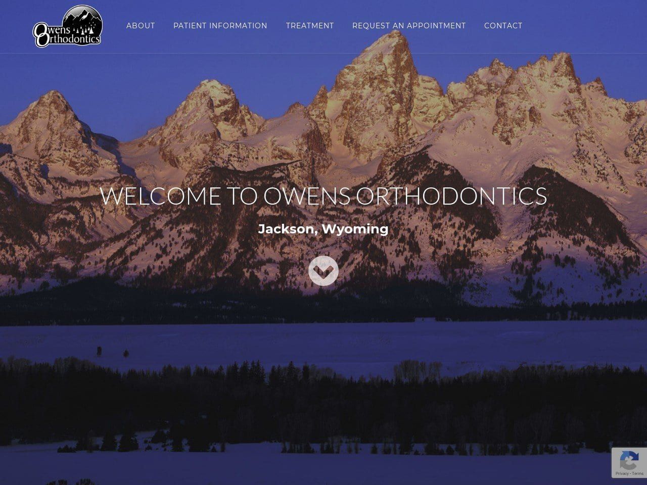 Owens Orthodontics Website Screenshot from owensortho.com
