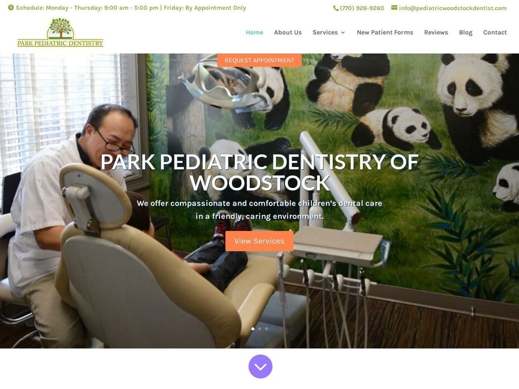 Park Pediatric Dentist Website Screenshot from pediatricwoodstockdentist.com