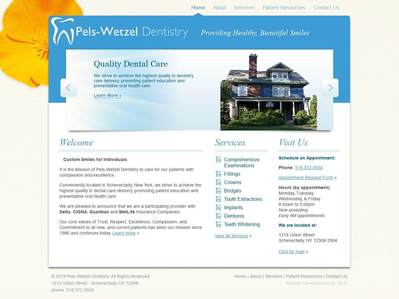 Bettina Pels Website Screenshot from pelswetzeldentistry.com