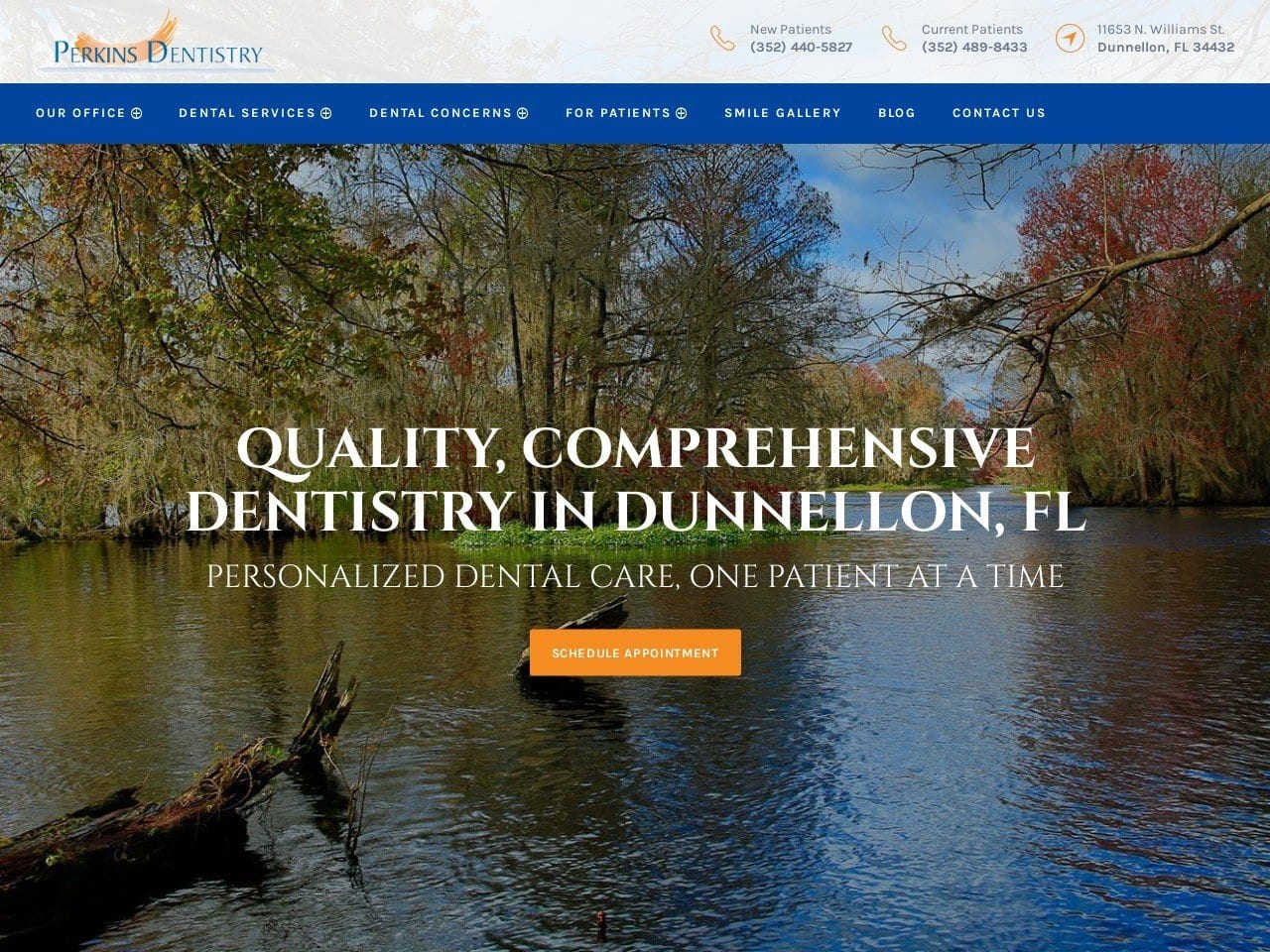 Perkins Dentist Website Screenshot from perkinsdentistryofdunnellon.com