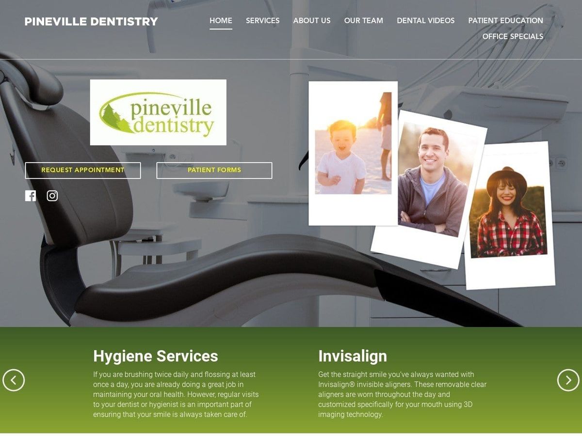 Dr. Lina V. Mistry DDS Website Screenshot from pinevilledentistry.com