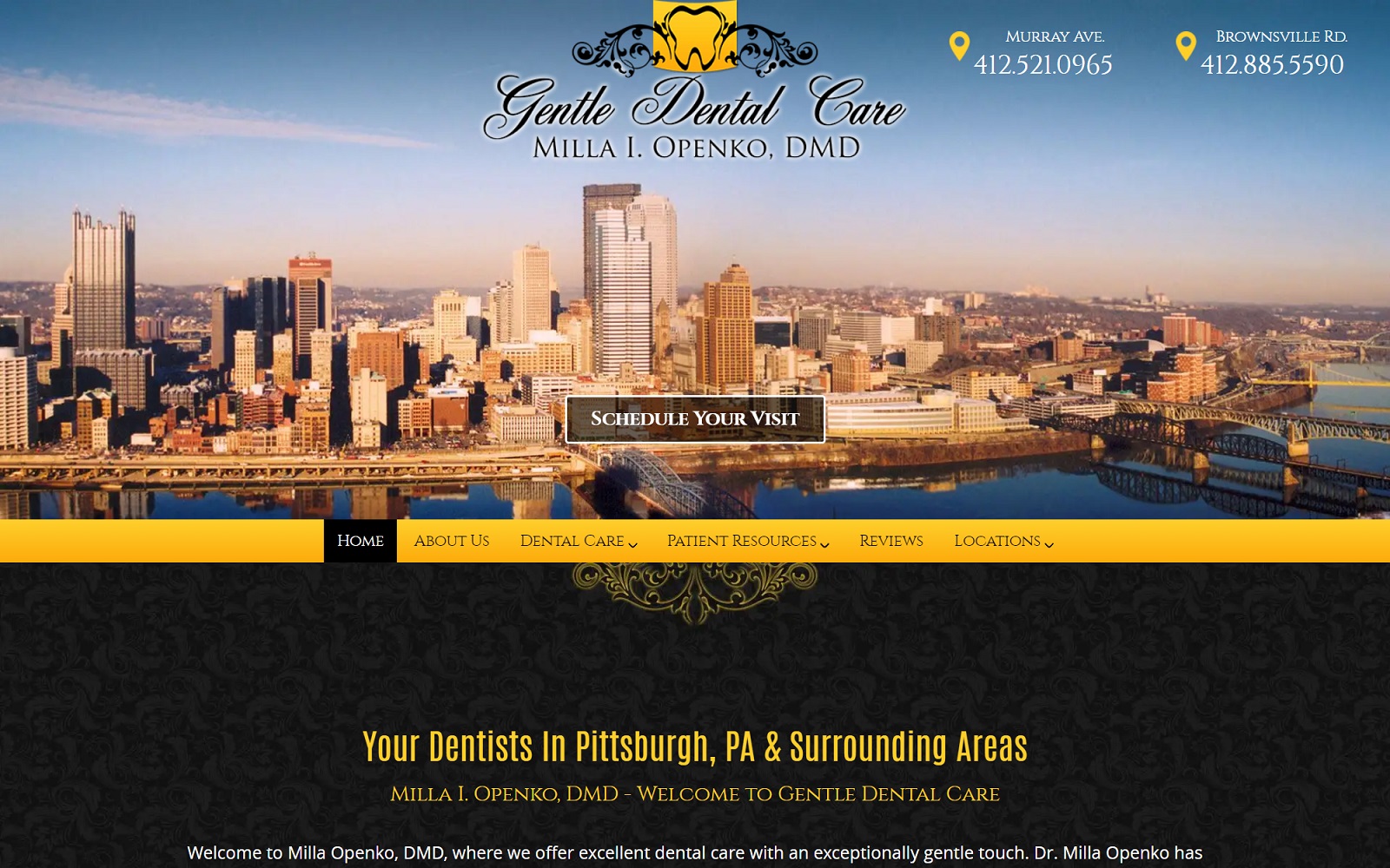 pittsburghpennsylvaniadentist.com screenshot