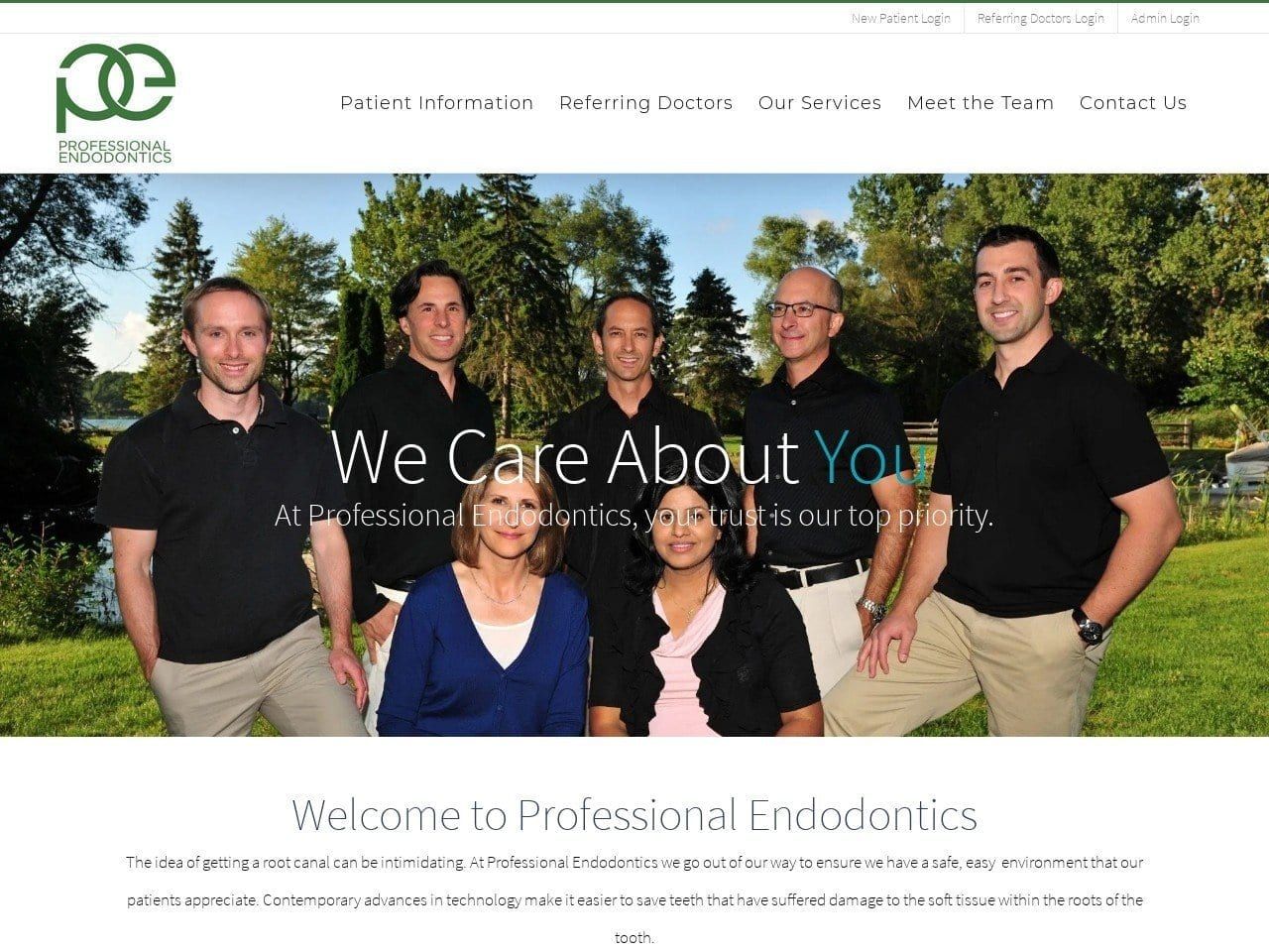Professional Endodontics Website Screenshot from profendo.com