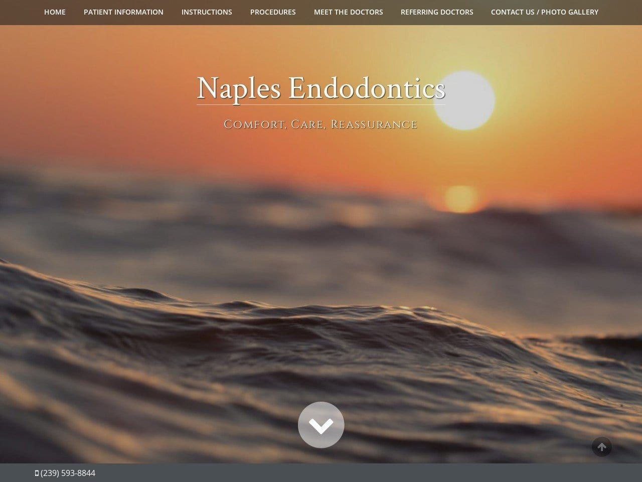 Naples Endodontics Website Screenshot from rootcanalnaples.com