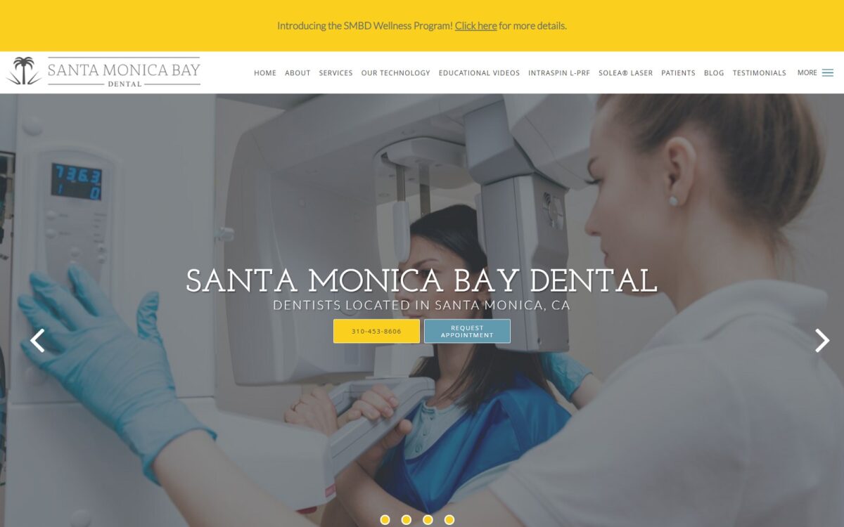 santamonicabaydental.com screenshot