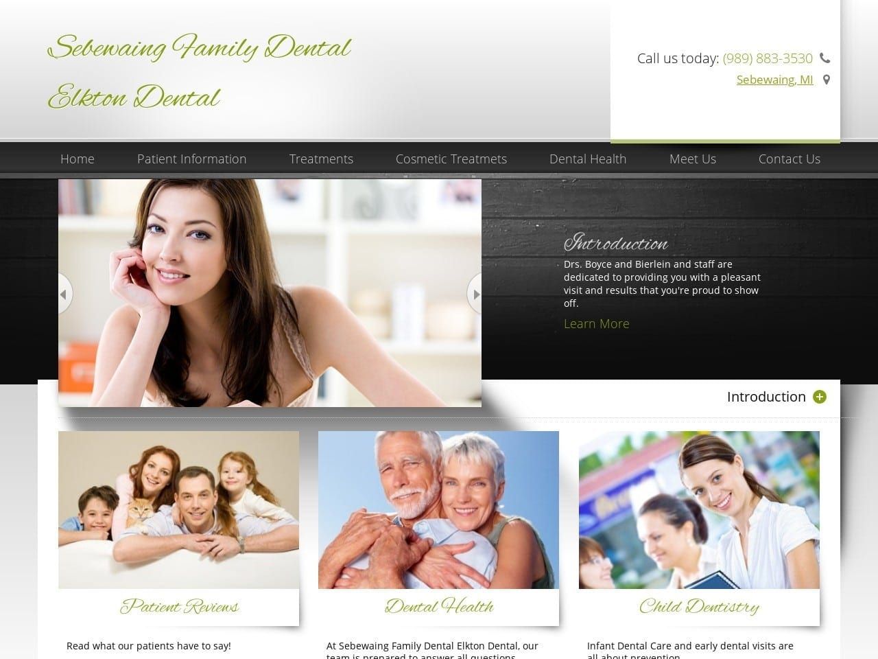 Sebewaing Family Dental Center Website Screenshot from sebewaingfamilydental.com