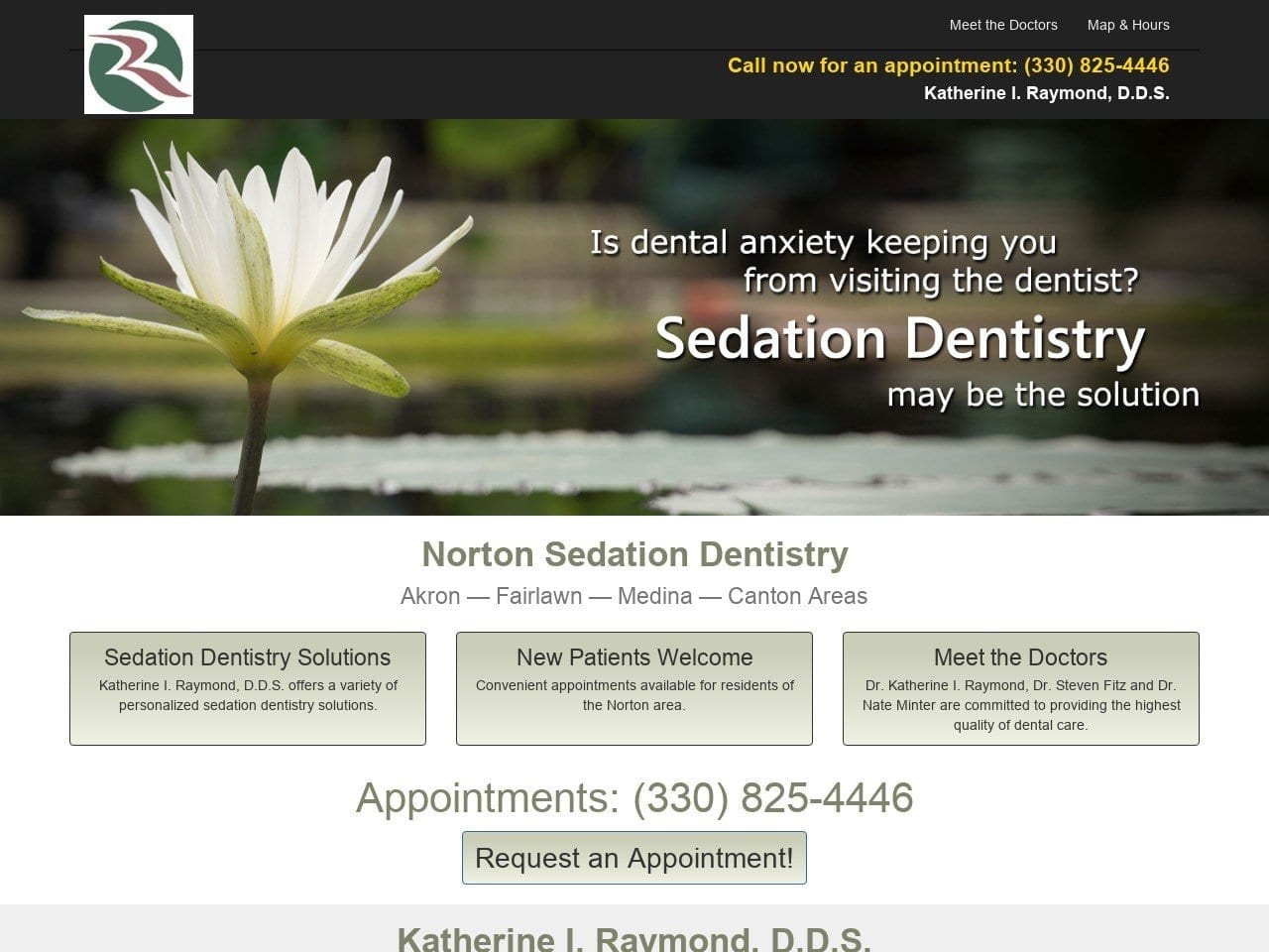 Raymond Katherine I DDS Website Screenshot from sedationdentistakron.com