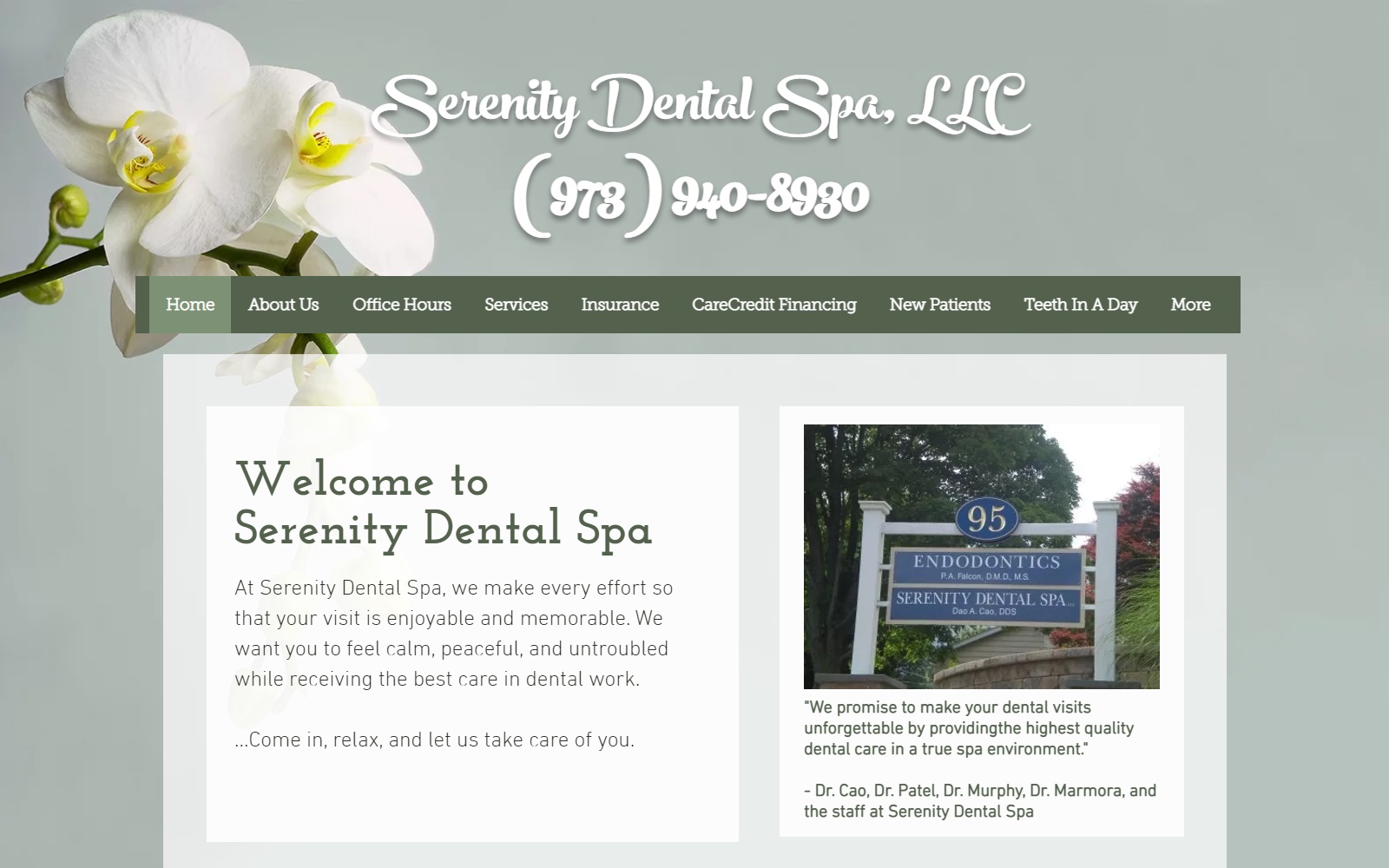 serenitydentalspa.net screenshot