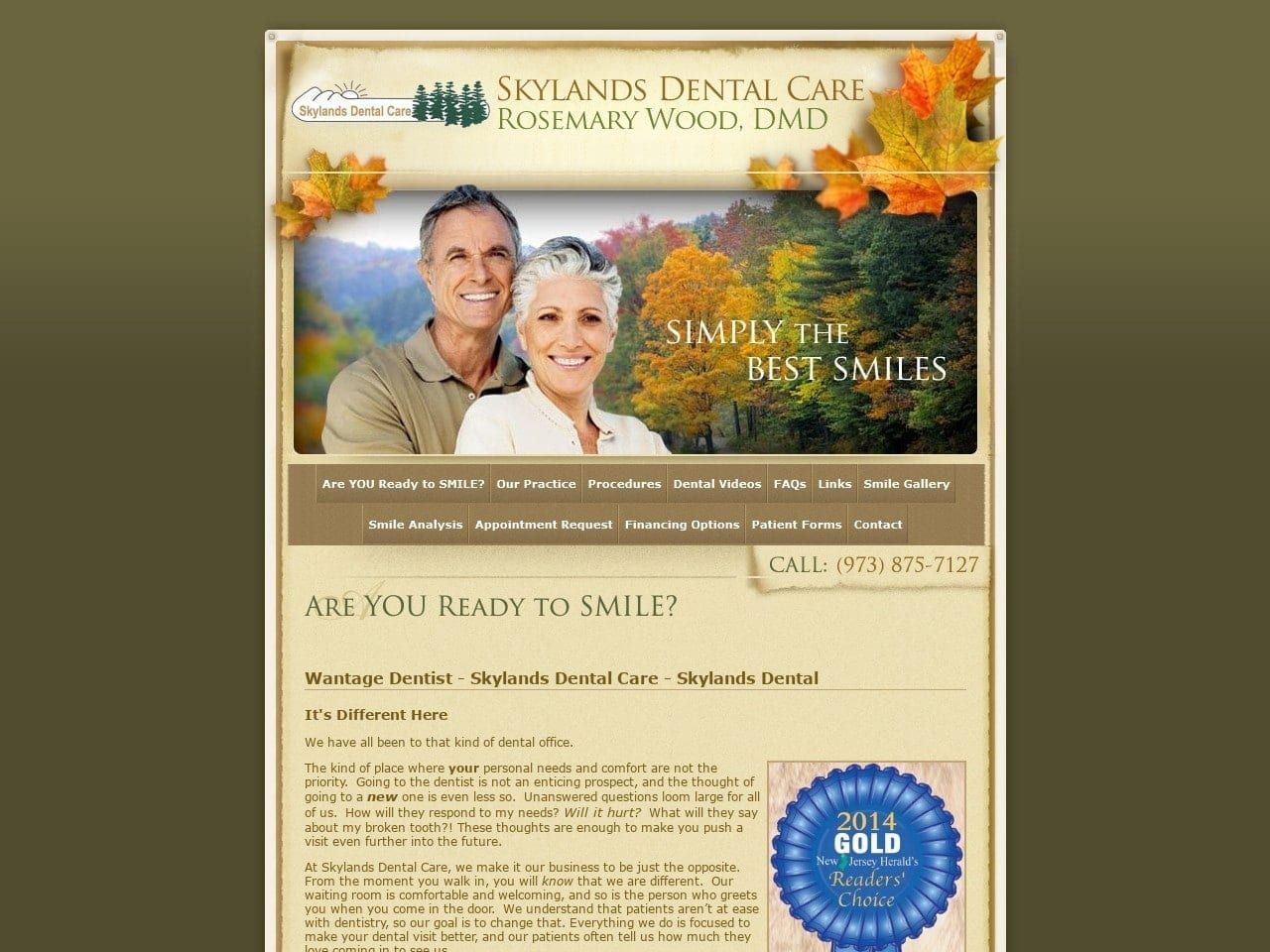 Skylands Dental Care Website Screenshot from skylandsdentalcare.com