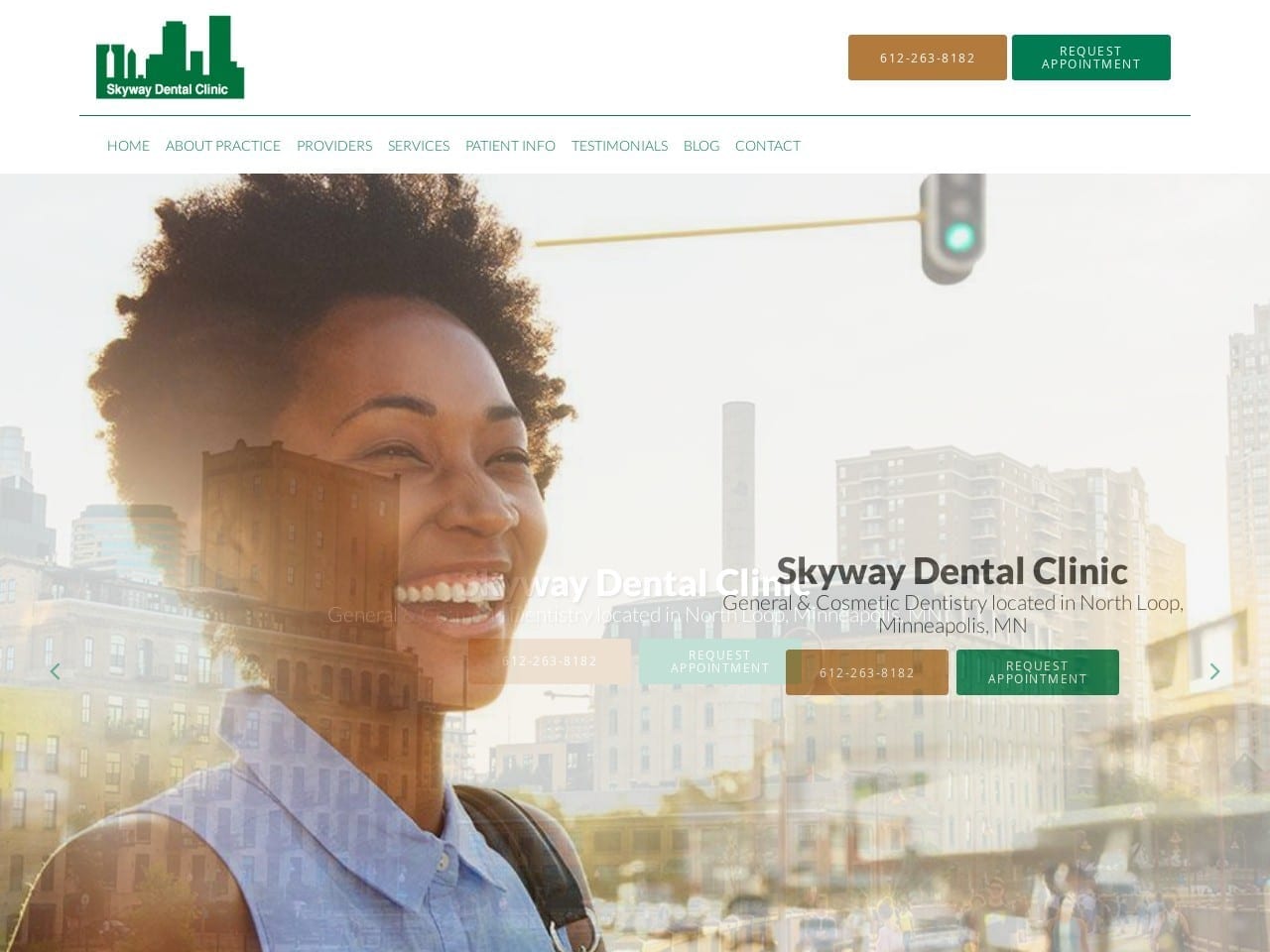 Skyway Dental Clinic Website Screenshot from skywaydental.com