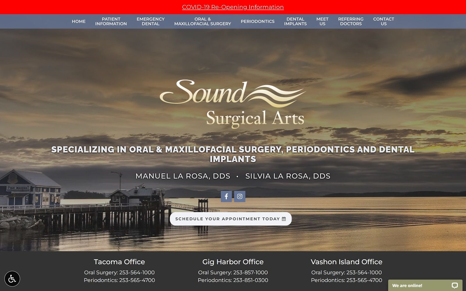soundsurgicalarts.com screenshot