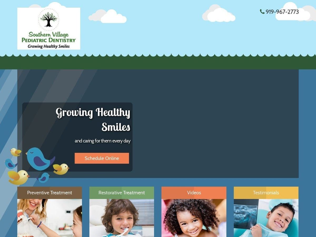 Southern Village Pediatric Dentist Website Screenshot from southernvillagepedo.com