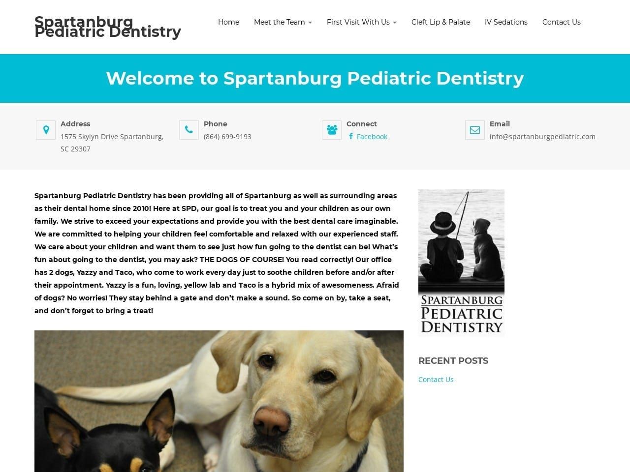 Spartanburg Pediatric Dentistry Website Screenshot from spartanburgpediatric.com