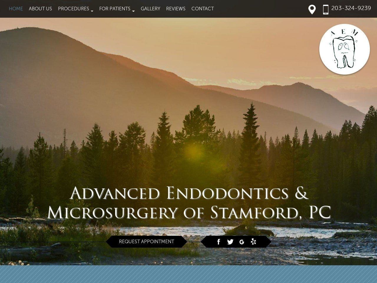 Advanced Endodontics and Microsurgery of Stamford Website Screenshot from stamfordendo.com