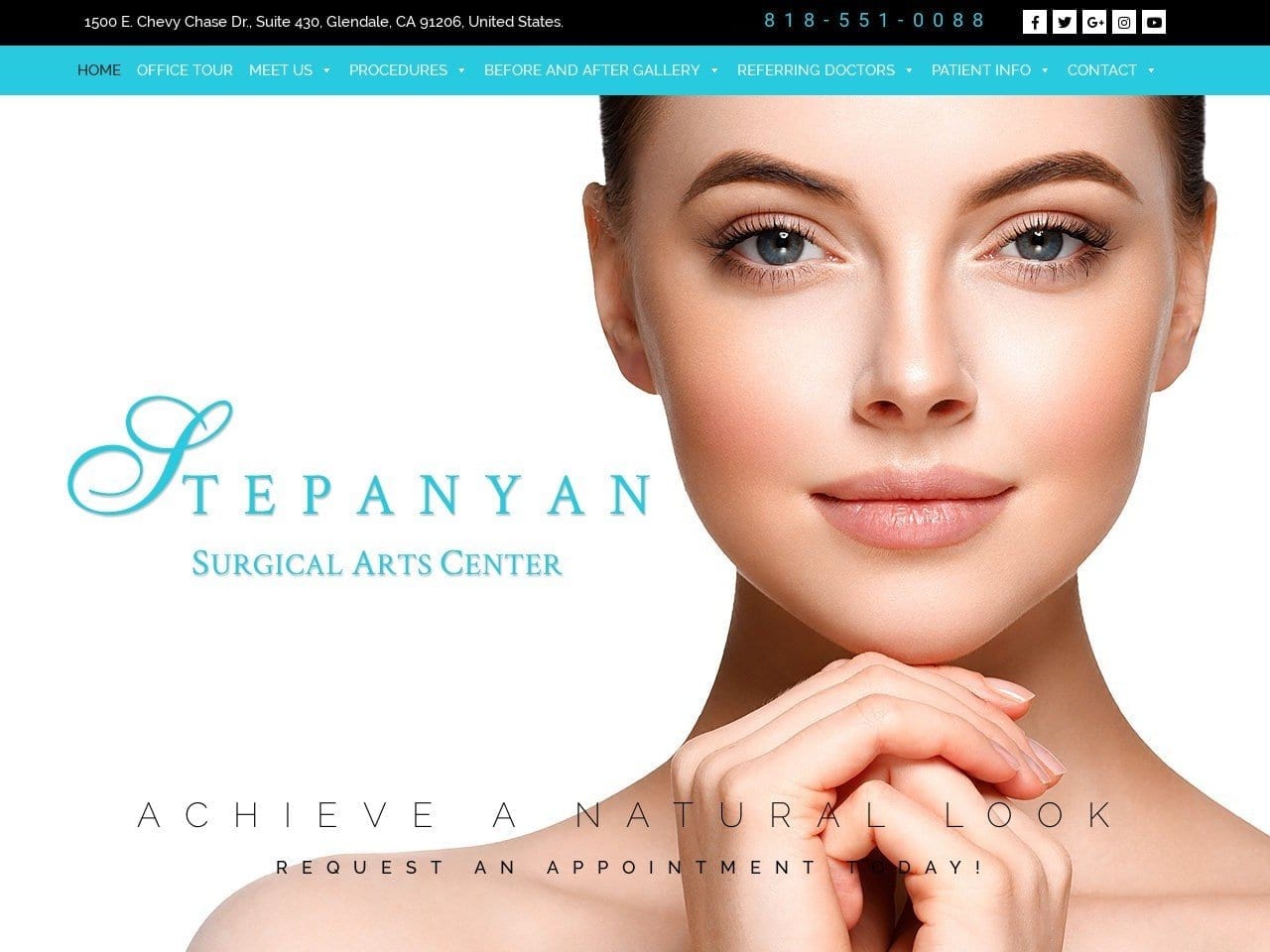 Stepanyan Surgical Arts Center Website Screenshot from stepanyansurgical.com