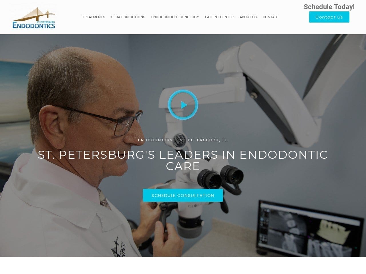 St. Petersburg Endodontics Website Screenshot from stpeteendo.com