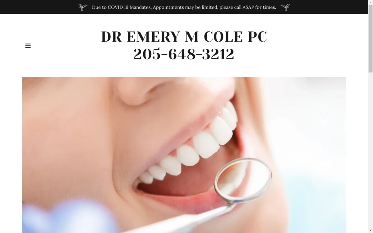 sumitondental.com screenshot