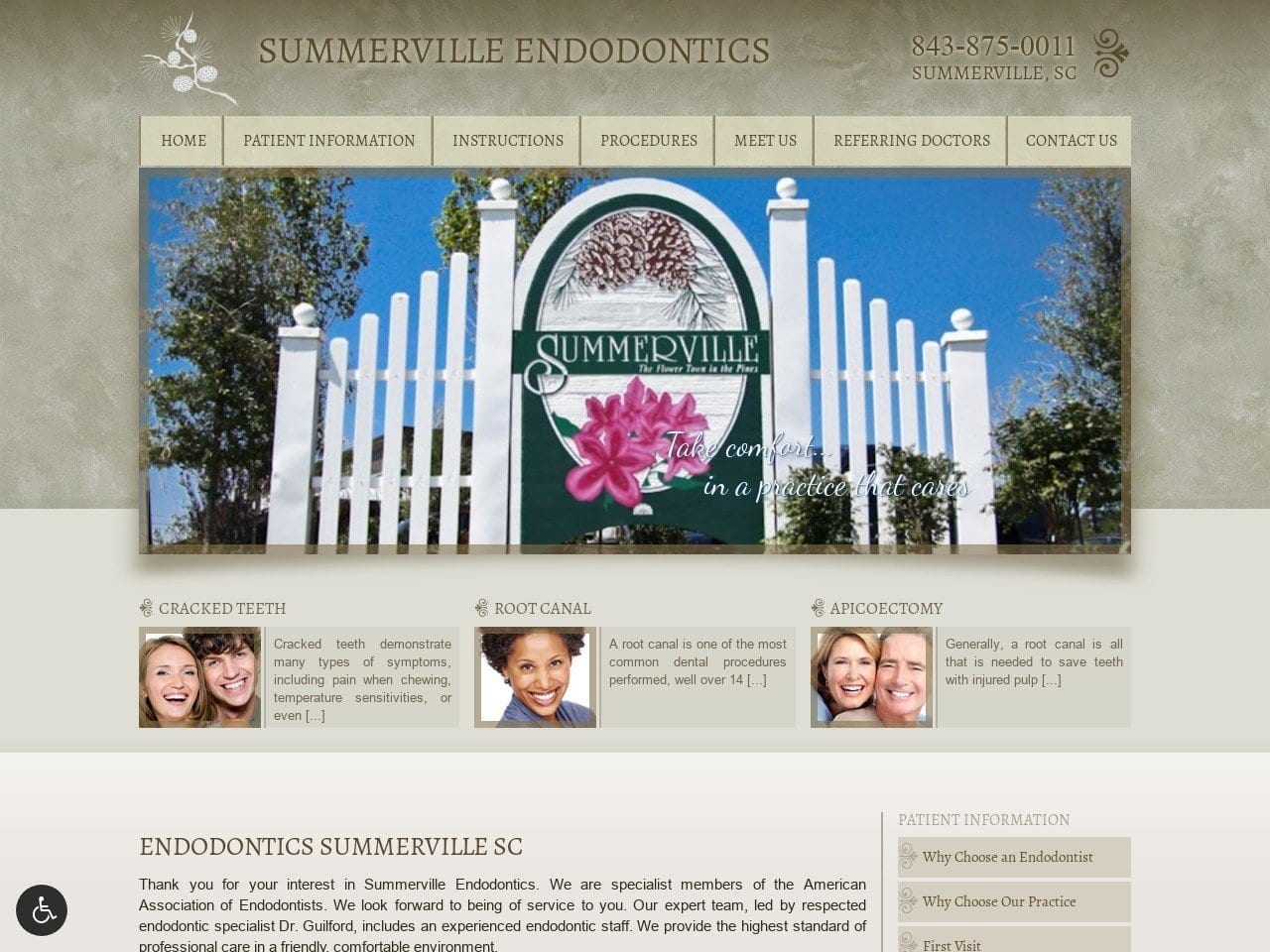 Summerville Endondontics Website Screenshot from summervilleendo.com