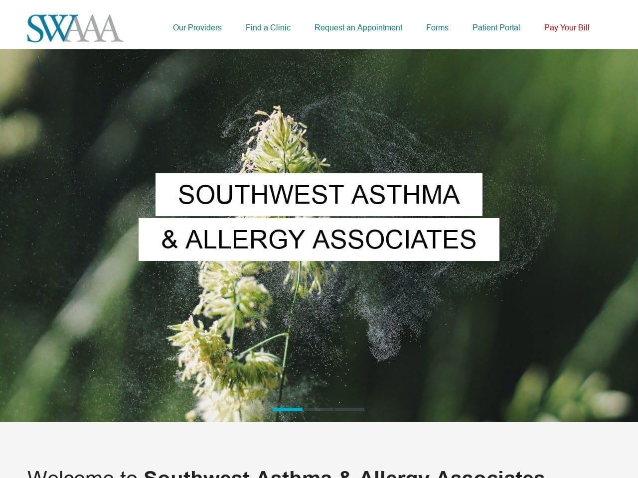 Southwest Asthma Dentist Website Screenshot from swaaa.com