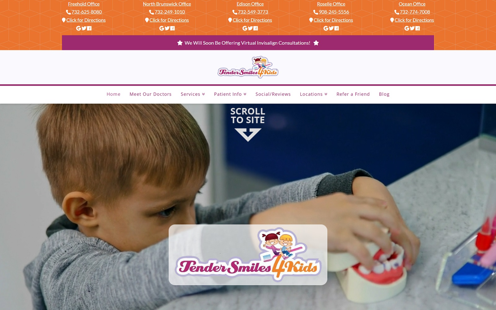 tendersmiles4kids.com screenshot