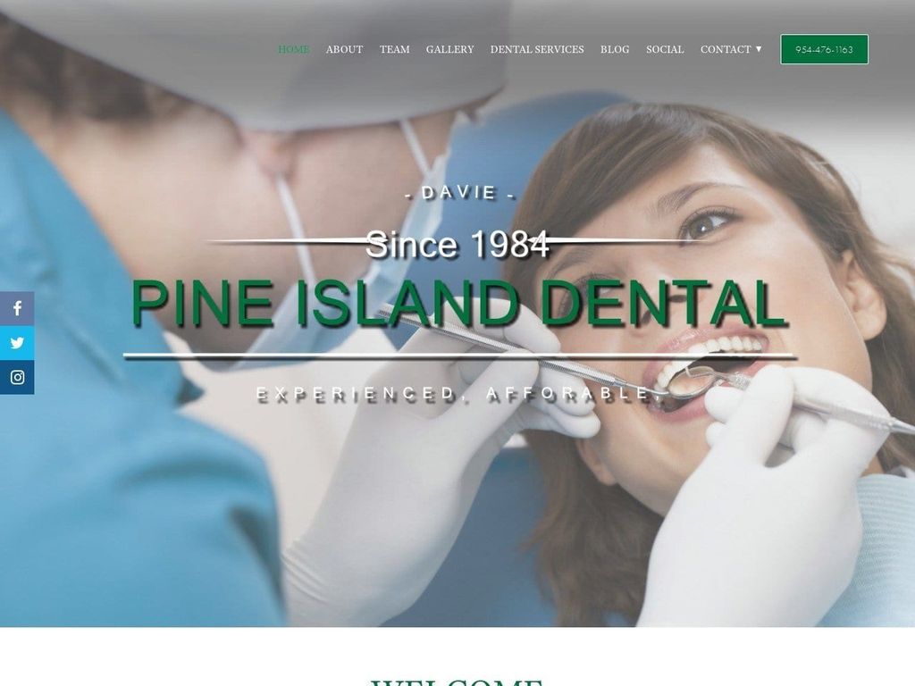 Pine Island Dental Website Screenshot from thedaviedentist.com