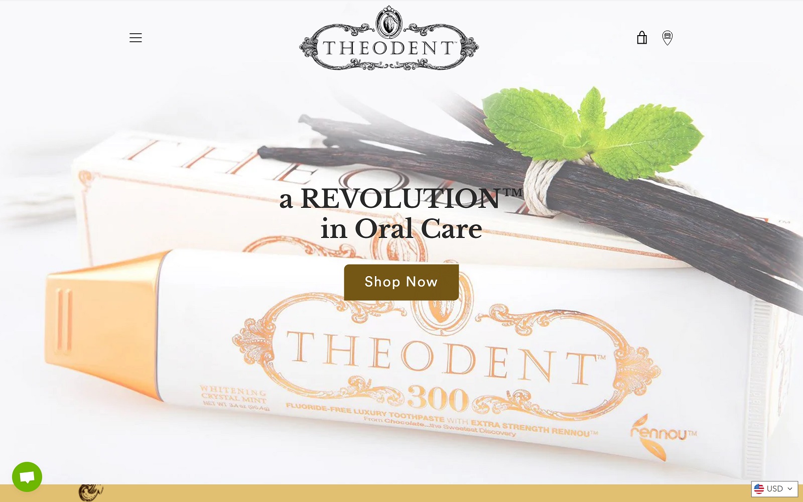 theodent.com screenshot